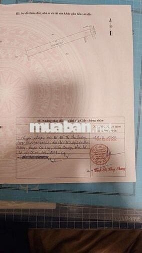 Gấp! Đất 712m2 tại Lộc Hưng, Trảng Bàng, SHR, giá chỉ 1,1 tỷ VND