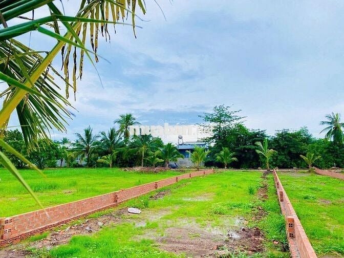 CẦN BÁN LÔ ĐẤT THỔ CƯ TRUNG TÂM TRẢNG BÀNG,TÂY NINH DIỆN TÍCH 800m2