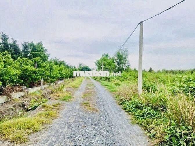 CẦN BÁN LÔ ĐẤT 1000M2 GẦN KHU CN PHƯỚC ĐÔNG, TÂY NINH GIÁ 1 TỶ 2