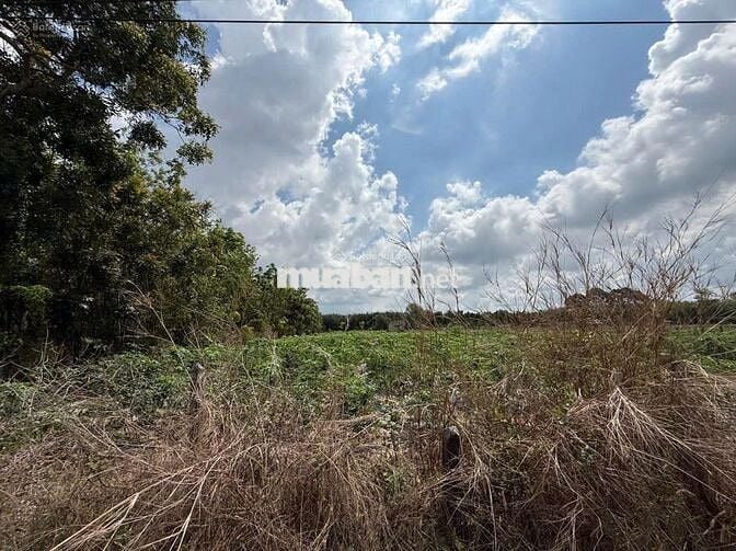 Cần bán lô đất 1000m2 đường Hương Lộ 2, Trảng Bàng, Tây Ninh, giá 1tỷ2