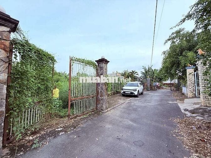 BÁN ĐẤT MT GIÁ RẺ DT 280M2 TÂN THẠNH ĐÔNG-CỦ CHI-NHỈNH 10 TRIỆU/M2