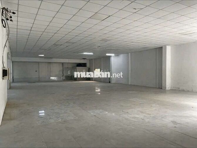 CHO THUÊ KHO,XƯỞNG 350M² GIÁ 20TR/T, Đ LÊ TRỌNG TẤN