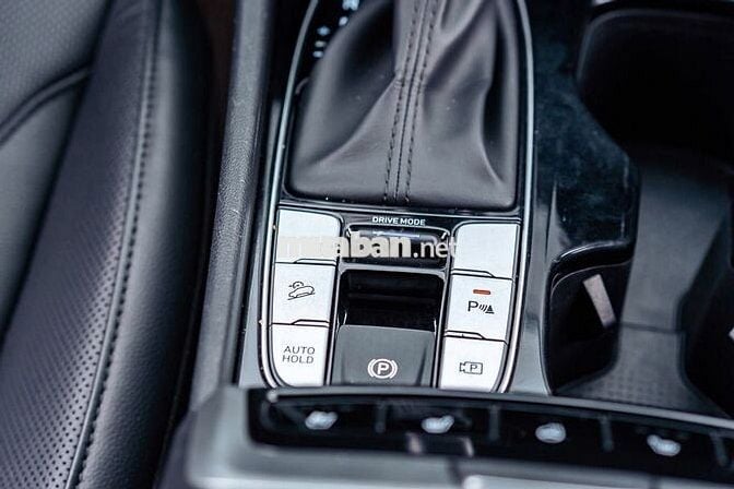 Hyundai Santa Fe 2024 2.5 Xăng - 20000 km