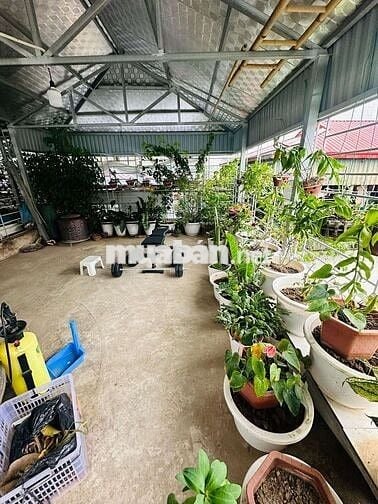 NHÀ ĐẸP – 2 MẶT THOÁNG VĨNH VIỄN – 15M RA Ô TÔ – 50M RA PHỐ XUÂN THUỶ