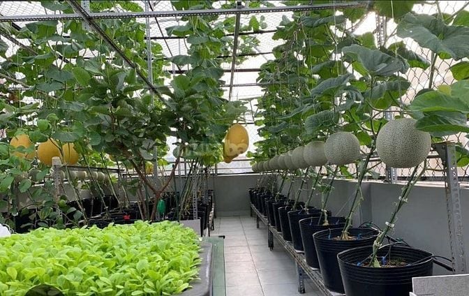 Sang lại phòng trọ đã có lợi nhuận 8tr/tháng 