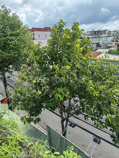 Sang lại phòng trọ đã có lợi nhuận 8tr/tháng 