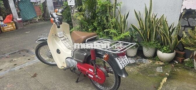 Honda Cub 81 90cc Xám Đã sử dụng