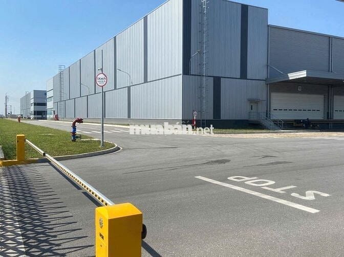 Cho thuê kho mới 10.000m2 - 15.000m², trong KCN Tân Phú Trung , Củ Chi