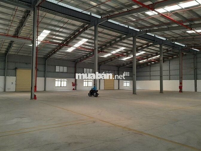 Cho thuê kho mới 10.000m2 - 15.000m², trong KCN Tân Phú Trung , Củ Chi