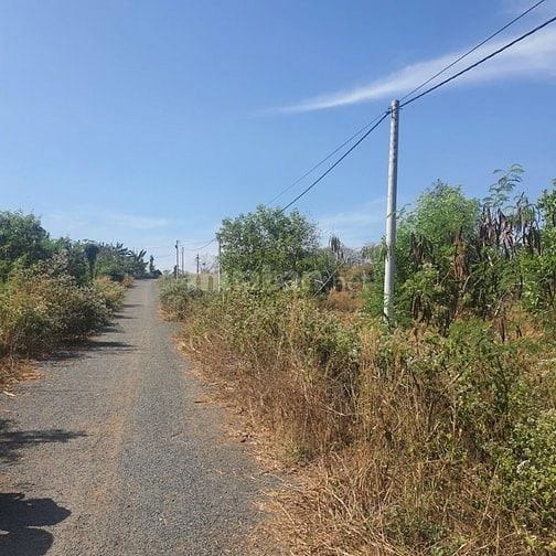 Công ty Đấu giá hợp danh Lam Sơn Sài Gòn THÔNG BÁO ĐẤU GIÁ TÀI SẢN