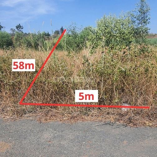 Công ty Đấu giá hợp danh Lam Sơn Sài Gòn THÔNG BÁO ĐẤU GIÁ TÀI SẢN