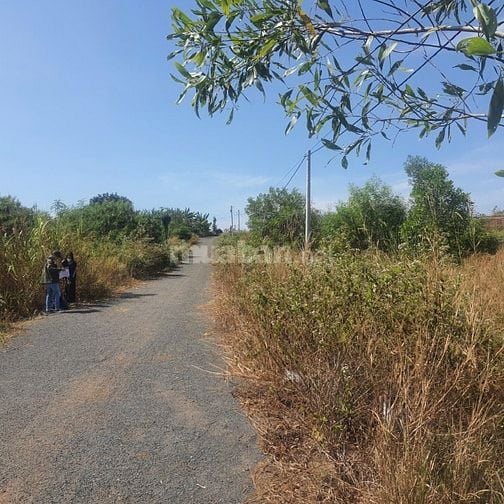 Công ty Đấu giá hợp danh Lam Sơn Sài Gòn THÔNG BÁO ĐẤU GIÁ TÀI SẢN