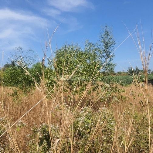 Công ty Đấu giá hợp danh Lam Sơn Sài Gòn THÔNG BÁO ĐẤU GIÁ TÀI SẢN