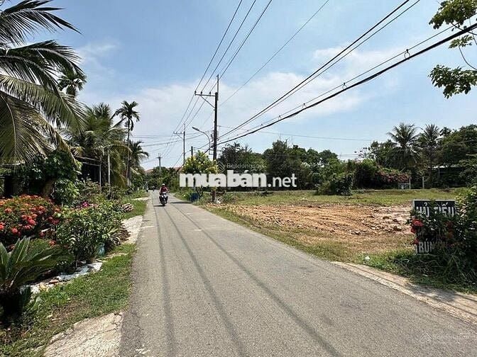 ĐẤT Ở 350 M2 MT ĐƯỜNG NHỰA XÃ THÁI MỸ, CỦ CHI, ĐÔNG DÂN CƯ GIÁ 1,7 TỶ