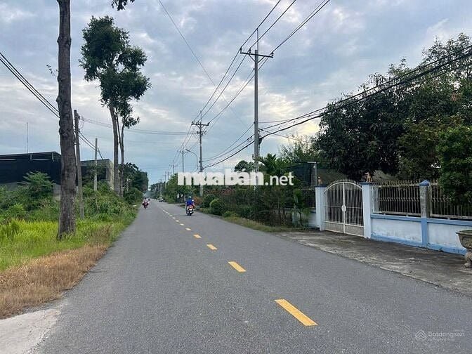 ĐẤT Ở 350 M2 MT ĐƯỜNG NHỰA XÃ THÁI MỸ, CỦ CHI, ĐÔNG DÂN CƯ GIÁ 1,7 TỶ