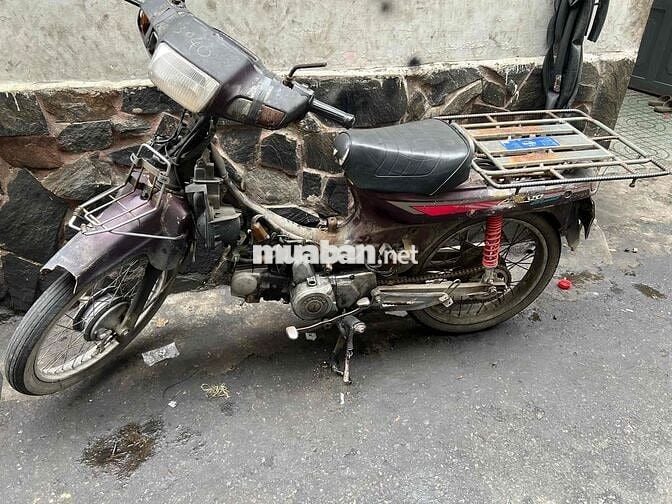 Bán dream lùn nhật