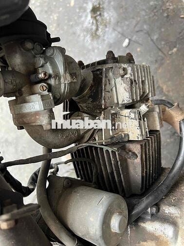 Bán dream lùn nhật