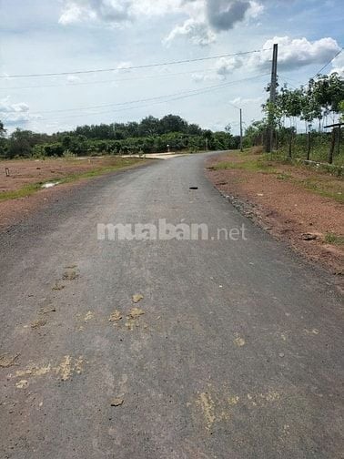 📣 BÁN ĐẤT LỘC KHÁNH, LỘC NINH 1.010M² – GIÁ CHỈ 550 TRIỆU – SỔ SẴN, Đ