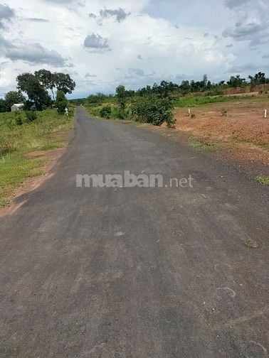 📣 BÁN ĐẤT LỘC KHÁNH, LỘC NINH 1.010M² – GIÁ CHỈ 550 TRIỆU – SỔ SẴN, Đ