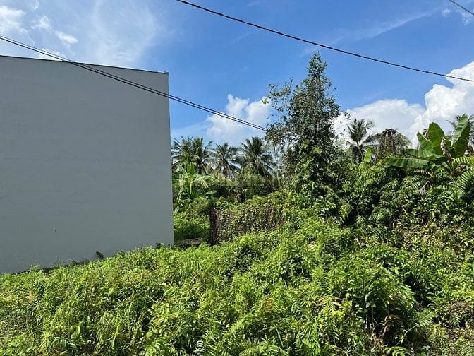 Đất nền chính chủ tại Bình Mỹ, Củ Chi, Hồ Chí Minh, 115,3 m2