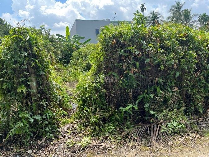 Đất nền chính chủ tại Bình Mỹ, Củ Chi, Hồ Chí Minh, 115,3 m2