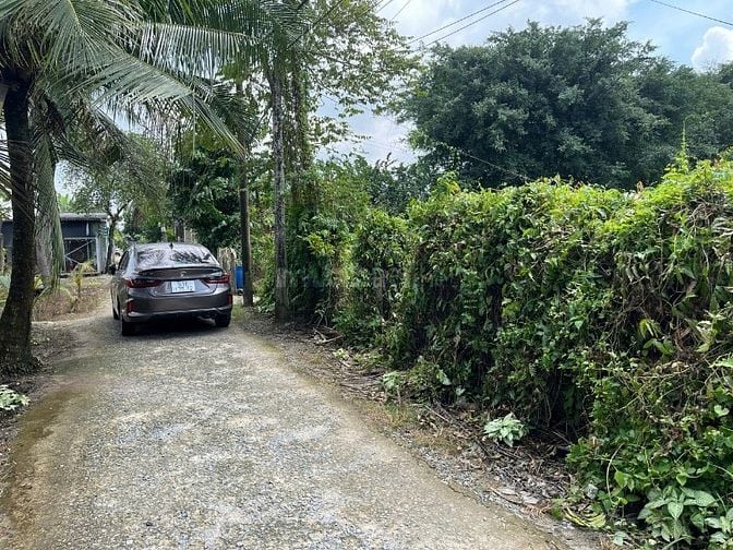 Đất nền chính chủ tại Bình Mỹ, Củ Chi, Hồ Chí Minh, 115,3 m2