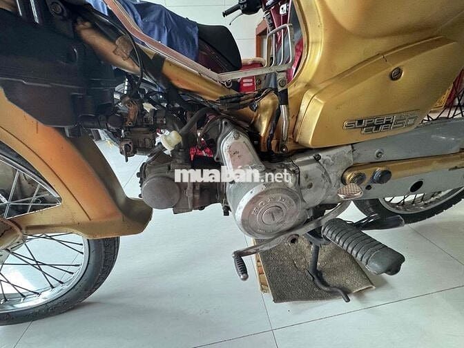 Cub 84-50cc có đề