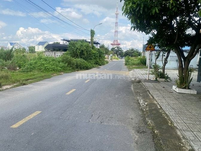 chính chủ bán đất đường nhựa thông chợ việt kiều kinh doanh tốt củ chi