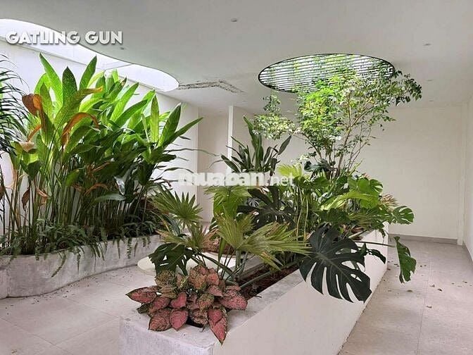 Căn Hộ Cao Cấp Gần Công Trường Mê Linh Lê Thánh Tôn Cầu Bason