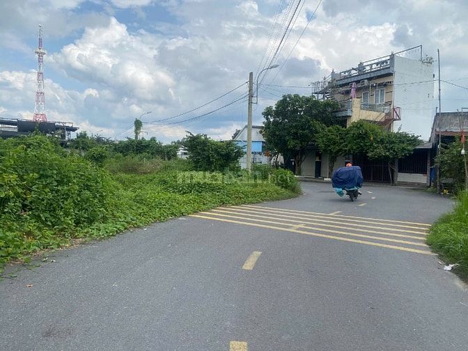 chính chủ bán đất đường nhựa thông chợ việt kiều kinh doanh tốt củ chi