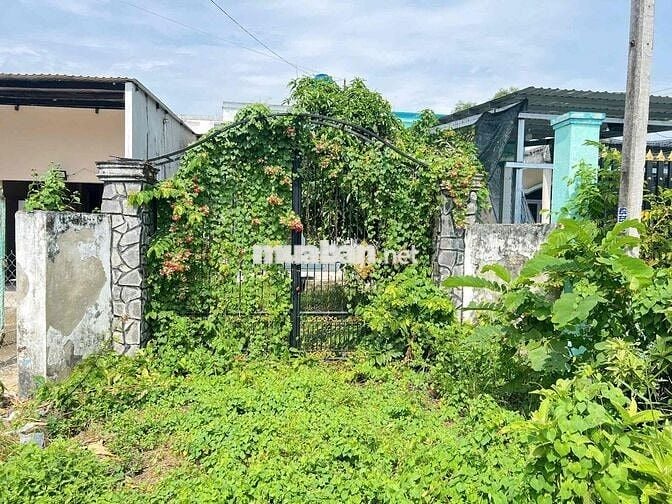 Bán gấp nhà kiên cố tại Đức Lập Thượng, Đức Hoà, Long An, giá 2.285 tỷ