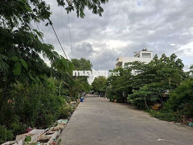 Bán đất thổ cư đường 12m Nguyễn Văn Tạo, Nhà Bè.