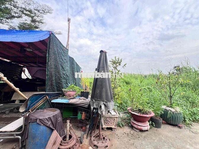 Chính Chủ Bán Đất Ấp 2 hữu Thạnh đối diện Ecity Tân Đức