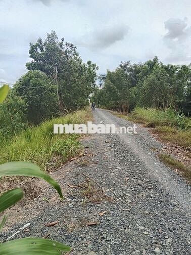 Bán Quỹ đất tại Thạnh Lợi, Bến Lức, Long An cũ