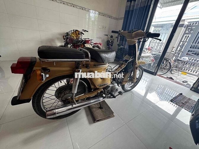 Cub 84-50cc có đề