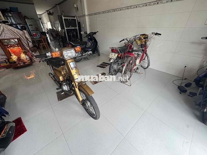 Cub 84-50cc có đề