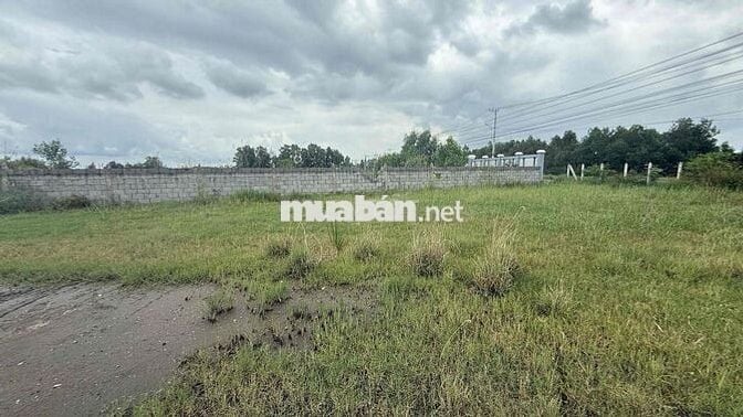 thái mỹ 5x36m 100% thổ, 1,1 tỷ Ch…