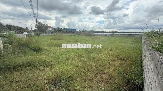 thái mỹ 5x36m 100% thổ, 1,1 tỷ Ch…