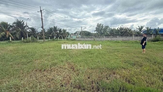 thái mỹ 5x36m 100% thổ, 1,1 tỷ Ch…