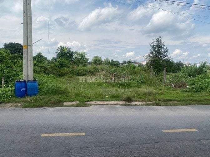 chính chủ bán đất đường nhựa thông chợ việt kiều kinh doanh tốt củ chi