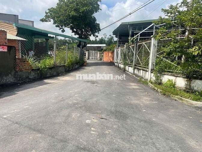 BÁN ĐẤT THỔ CƯ ĐƯỜNG CÂY TRÔM MỸ KHÁNH - THÁI MỸ - SỔ HỒNG RIÊNG