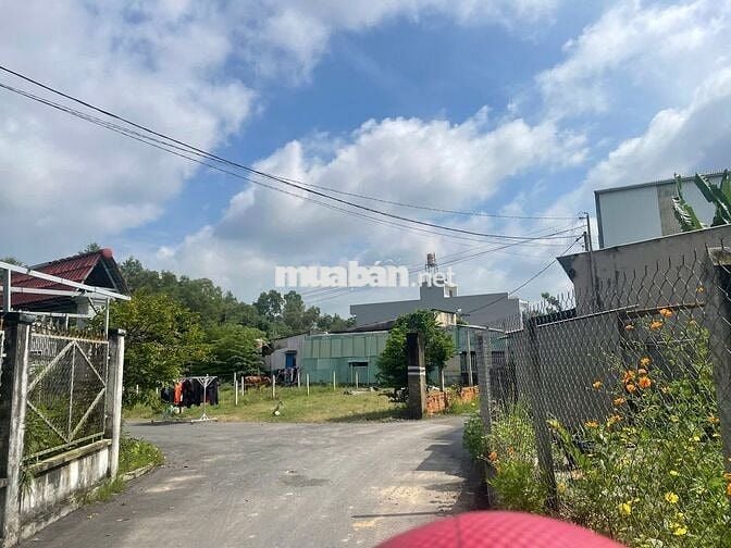 BÁN ĐẤT THỔ CƯ ĐƯỜNG CÂY TRÔM MỸ KHÁNH - THÁI MỸ - SỔ HỒNG RIÊNG