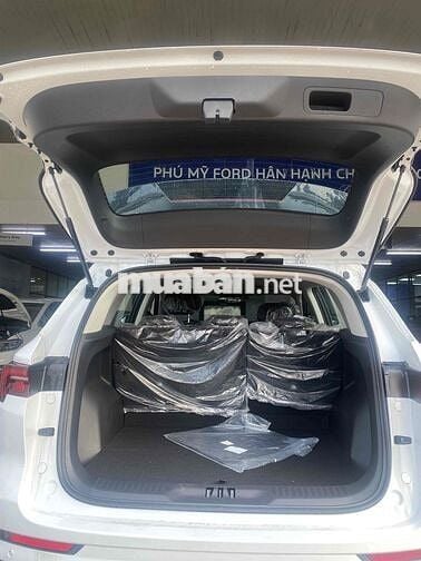 2025 Territory Trend Trắng bank 85%, lãi 7,6%