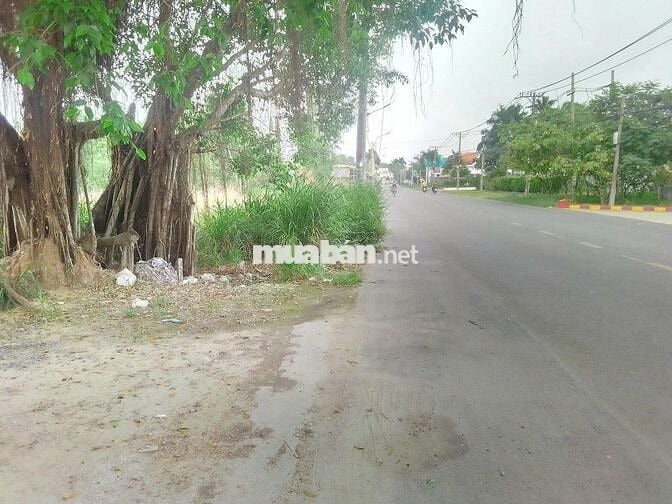 Đất ngay Tỉnh lộ 8 Tân An Hội, Củ Chi giá chỉ 1tỷ, 109m2 full thổ