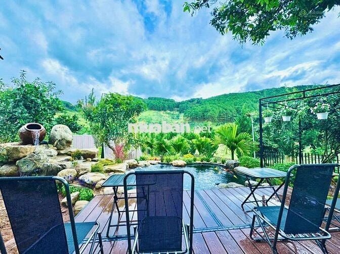 Bán lại lô đất 388m2 giá 489triệu sẵn căn bungalow - sân vườn - hồ cá