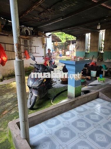 Bán 220m2 Đất Thổ tặng 2 nhà sát QL22 {sắp MR}, Ấp Đình, Tân Xuân,HM