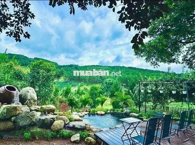 Bán lại lô đất 388m2 giá 489triệu sẵn căn bungalow - sân vườn - hồ cá