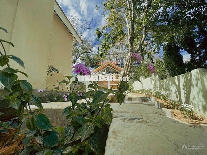 Cần bán nhanh lô đất 288,8m2 10x28,8m giá 589triệu có sẵn căn villa cũ