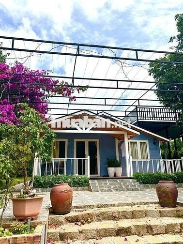 Bán lại lô đất 388m2 giá 489triệu sẵn căn bungalow - sân vườn - hồ cá