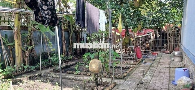 Biệt thự cao cấp - View hồ sinh thái xanh mát ngay khu đô thị